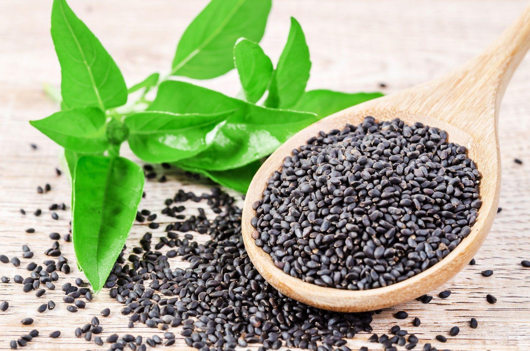 The benefits of basil seeds are many: They're high in fiber, loaded with omega 3s, and deliver micronutrients that support metabolic health.