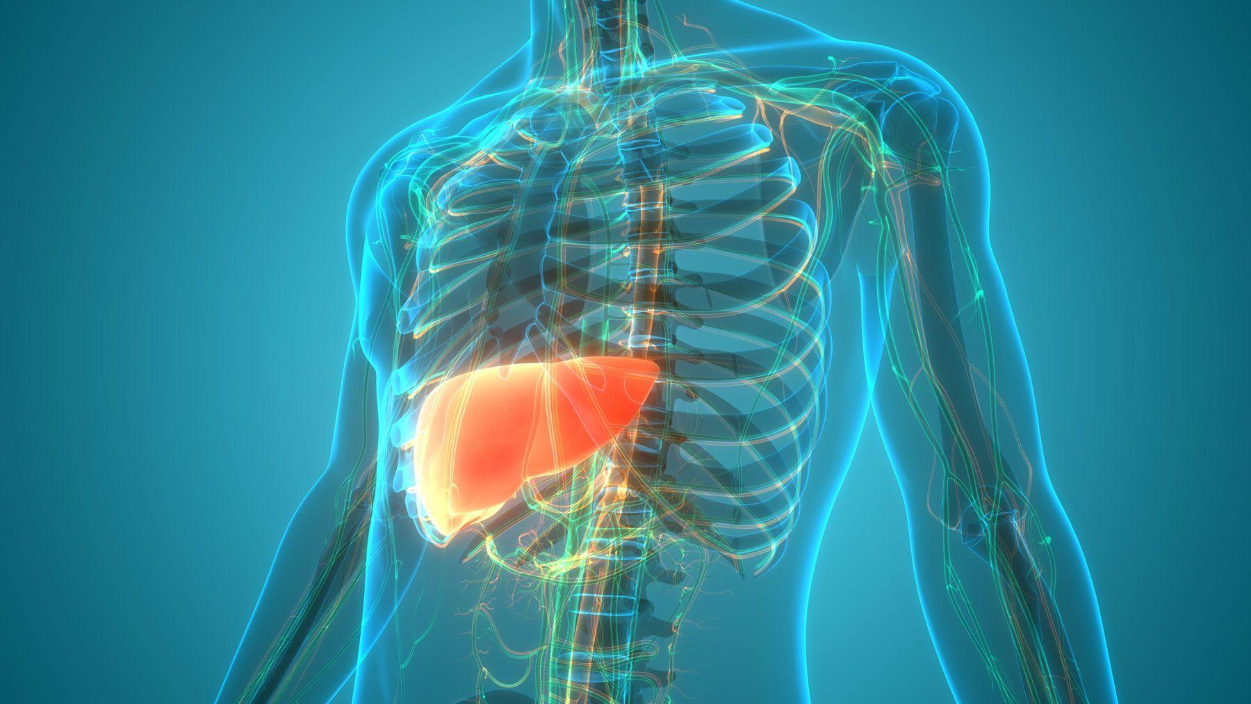 Dr. Ben Bikman explains this condition and how a buildup of fat in the liver can damage heart health and lead to a cycle of insulin resistance.