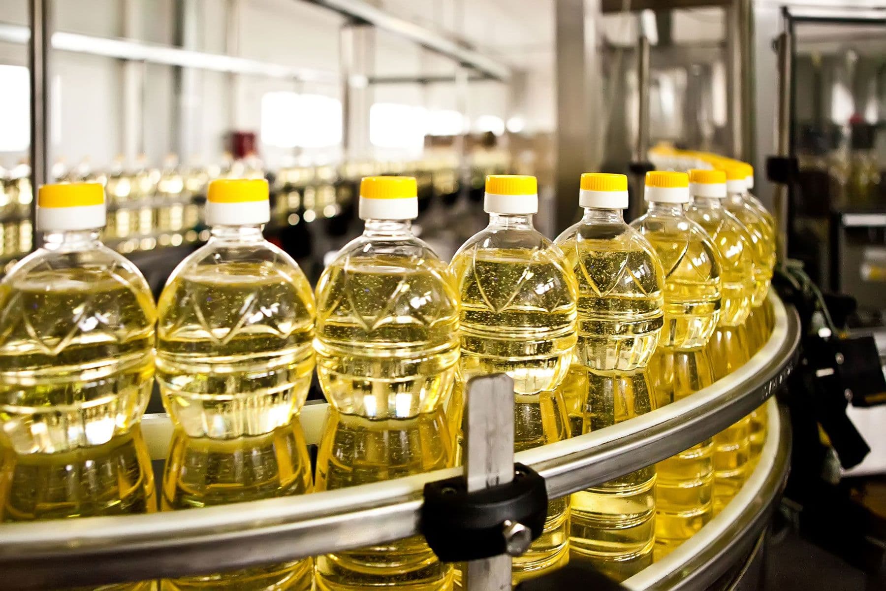 Seed oils are one of the most polarizing food ingredients—and they’re everywhere. What does science say about seed oils and their effects on health?