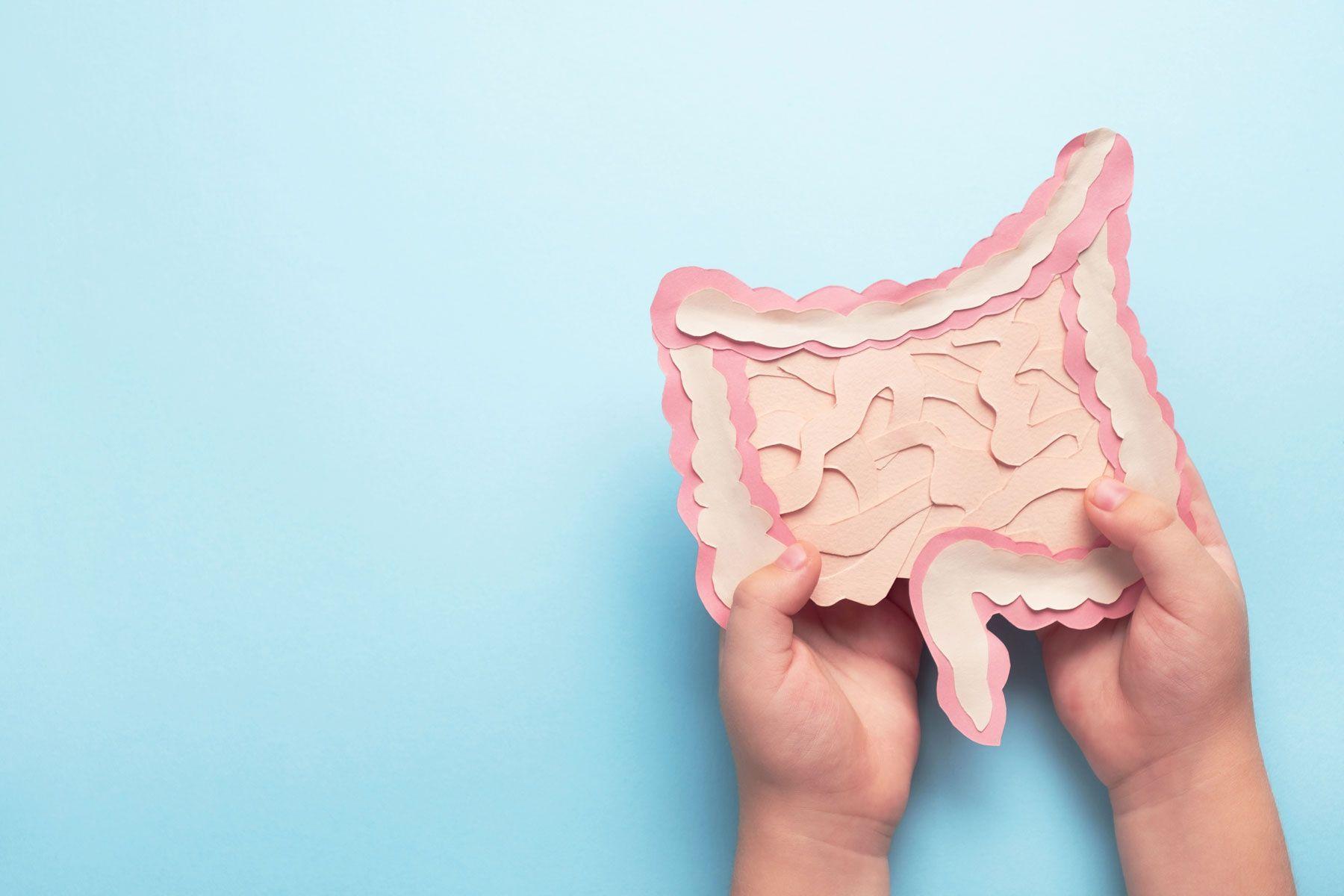 How damage to the gut barrier may interrupt physiological processes, impair metabolic health, and contribute to disease—and what you can do about it.