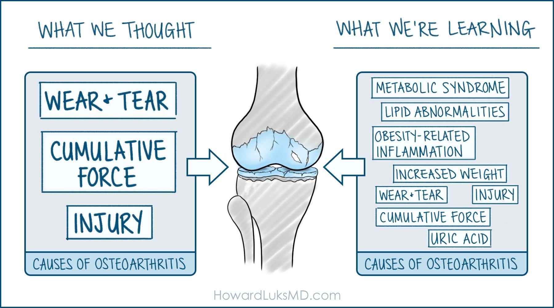 Bone joint damage graphic