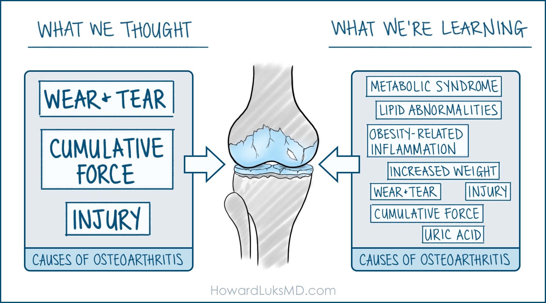 Bone joint damage graphic